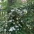 Form in May in Prague, Czechia
