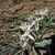 Form in May in Washoe County, North Carolina