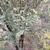 Form in November in Maui County, Hawaii