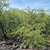 Form in October in Hawaii County, Hawaii
