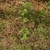 Form in October in Hunan, China