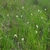 Form in September in Palm Beach County, Florida