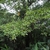 Form