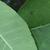 Both sides of leaves