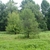 Form