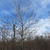 Winter form