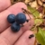 Fruit in October in Lake County, Minnesota