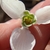 Center of flower