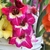 A bucket of cut stems of glads in many colors.