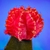 Close-up of a red Gymno scion grafted onto a green stock.
