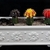 Grafted plants of different colors in a rectangular planter.