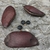 Brown pods and black seed