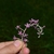 Lavender flowers