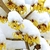 Clusters of show-covered yellow flowers with ribbon-like petals