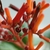 Small red berries on a branch