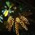 Heptapleurum arboricola