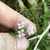 Small, trumpet-like, 4-lobed, pale purple flowers