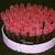 Hyacinthus orientalis