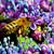 Hydrangea with bee closeup