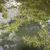 Floating on water