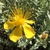 Form