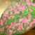 Hypoestes phyllostachya