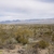 Arizona desert landscape with mountains in the background.