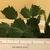 Flattened cladodes (each 1 inch long) with ruler for scale.