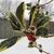 Spiny-margined variegated leaves & red fruits dusted with snow.