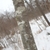 Bark