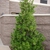 Full Form of plant
