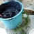 Bucket of blue paste dye, & sprig of the plant next to it.