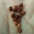 small, brown, reticulated seeds in the palm of a hand.