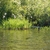 Native habitat