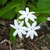 Form