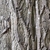 Bark