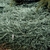 Form
