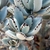 Succulent, fuzzy leaves with brown markings on the margins.
