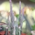 Leafless succulent with striped cylindrical stems.
