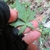 Hand cradling the inverted leaf to show venation & hairs.