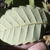 Leaf underside in October in Marin County, California