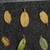 Leaf size in October in Yunnan Province, China