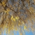 Leaves in November in Hockenheim, Germany
