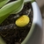 In a Potted Plant