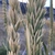 Seed head