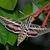 Large moth nectaring on the red trumpet flowers.