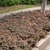 Plantings