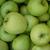 Malus domestica "Ginger Gold"