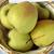 Malus domestica "Golden Delicious"