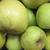 Malus domestica "Mutsu"